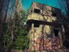 the house